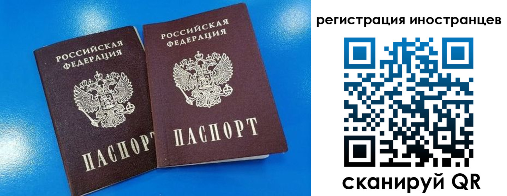 временная регистрация поиск в Щиграх