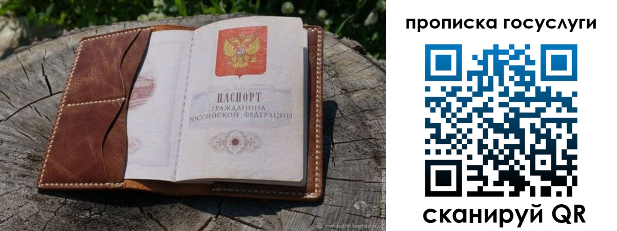 прописка для школы в Щиграх
